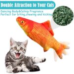 Cat Kicker Fish Toy