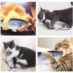 Cat Kicker Fish Toy